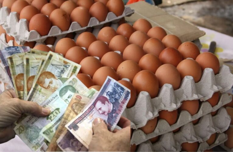 HUEVAZO AL BOLSILLO