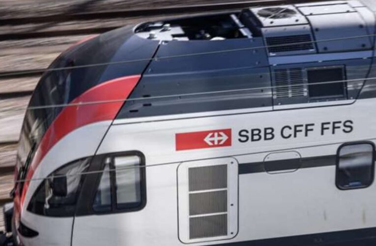 LE PASÓ UN TREN Y VIVE PARA CONTARLA