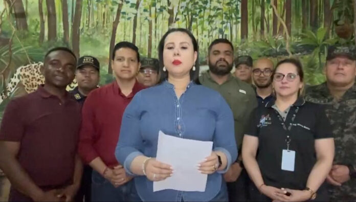 TREGUA EN LOS BOSQUES