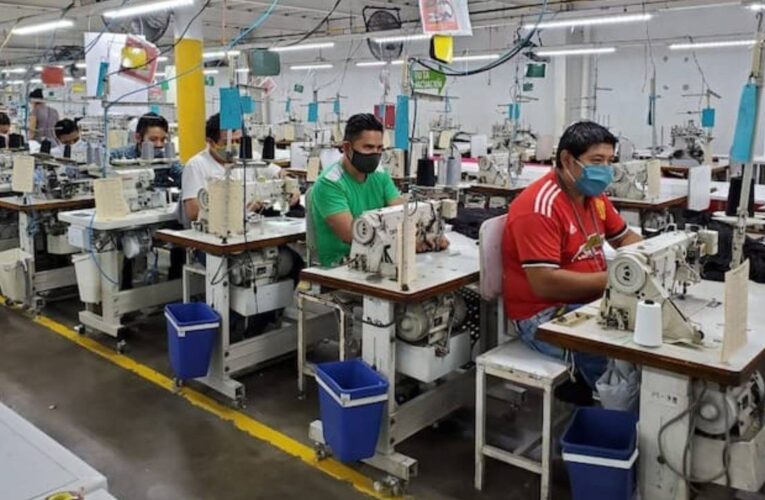 ACTIVIDAD ECONÓMICA CAE EN PICADA