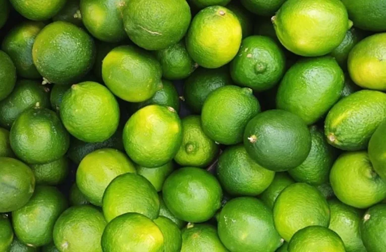 LIMONAZO NUEVO LUJO EN DIETA HONDUREÑA