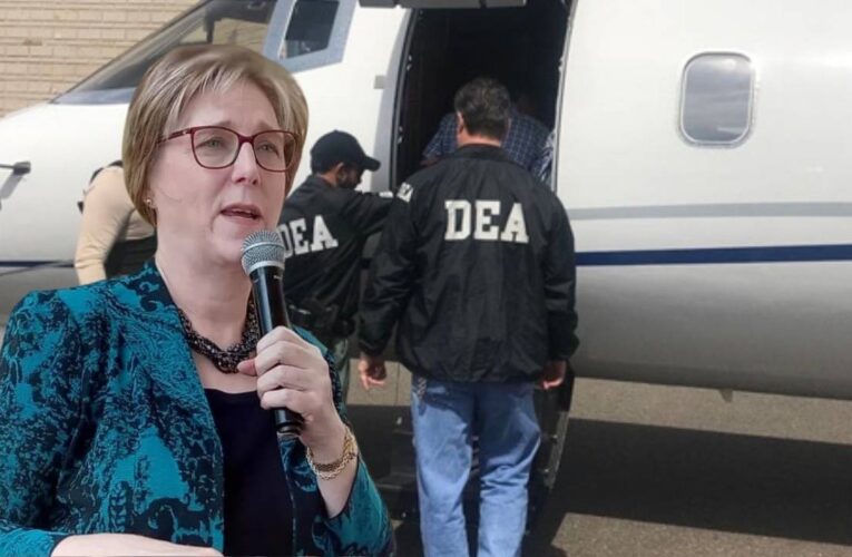 LAURA DOGU SE REGODEA
